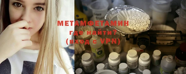 прущие грибы Елабуга