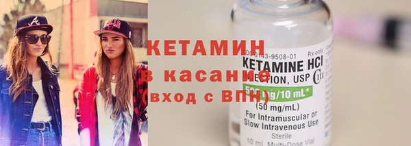 прущие грибы Елабуга