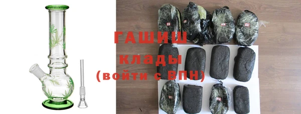 амф Ельня