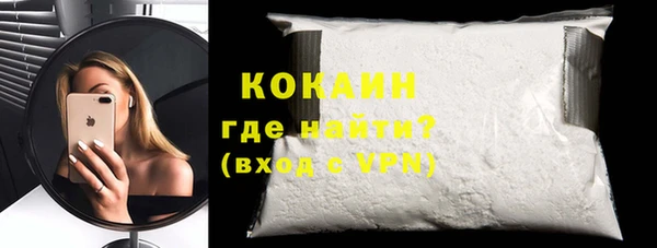прущие грибы Елабуга