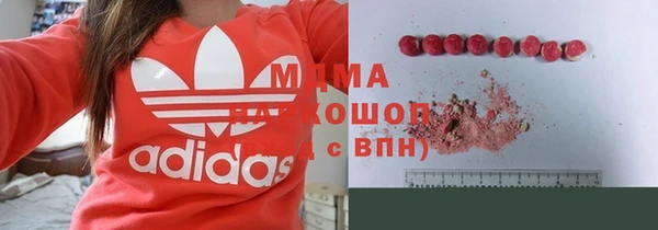 амф Ельня