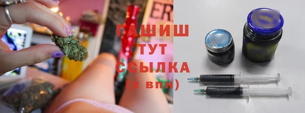 амф Ельня
