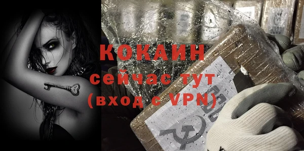 амф Ельня