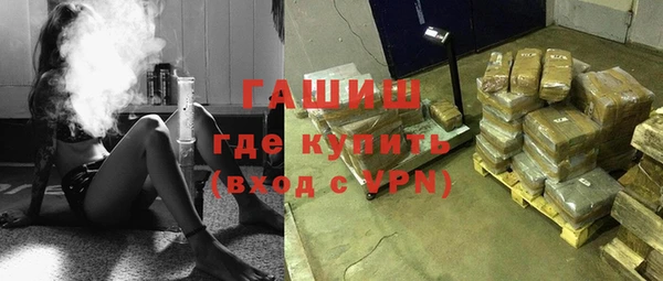 амф Ельня
