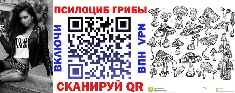 Купить где  Осташков  Псилоцибиновые грибы прущие грибы 